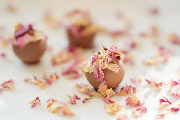 Pelican Kaszinó Android/iOS Alkalmazás